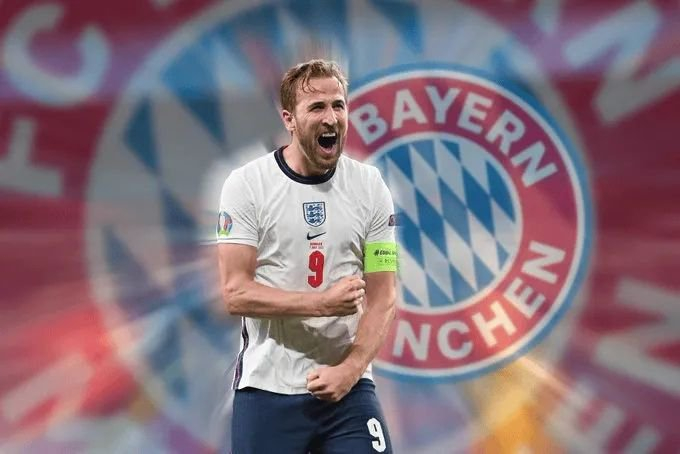 的稳定支撑 的稳定支撑