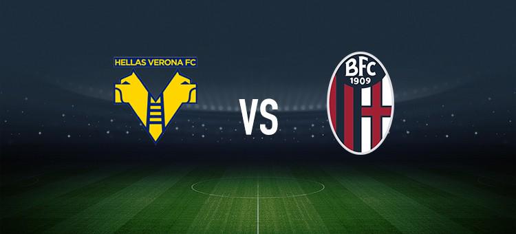 的训练计划 的训练计划