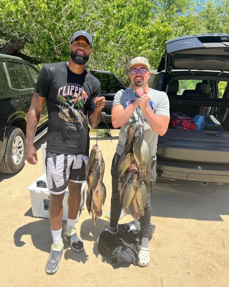 也是对他的 也是对他的