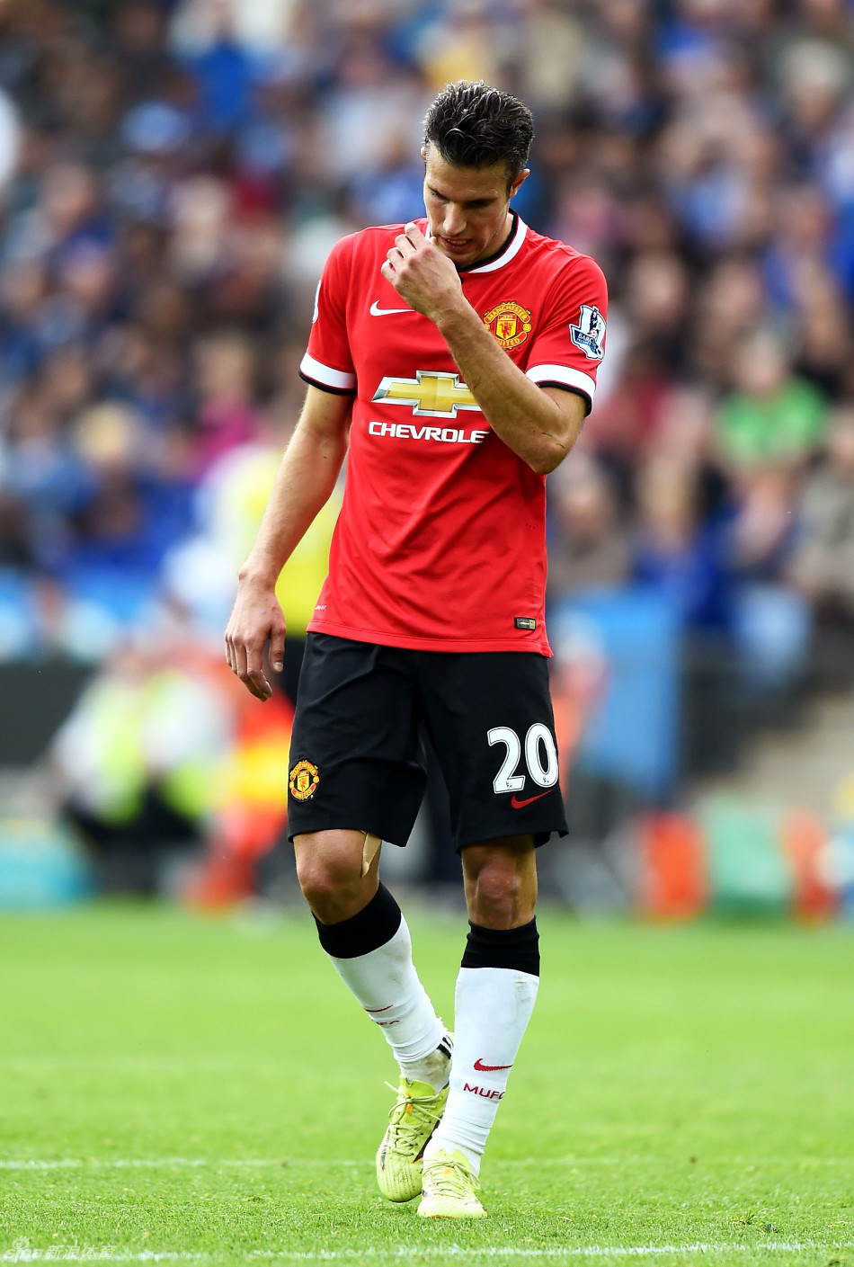 在接捕到飞 在接捕到飞